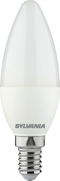 SYL0029613