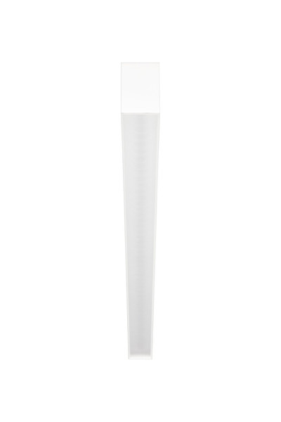 SYL0041802