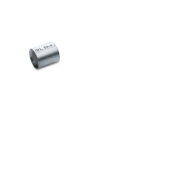 CEML19-P