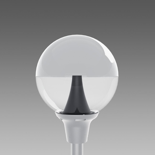 DIS42560000