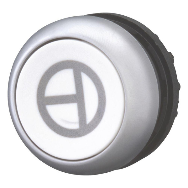 EAO101673