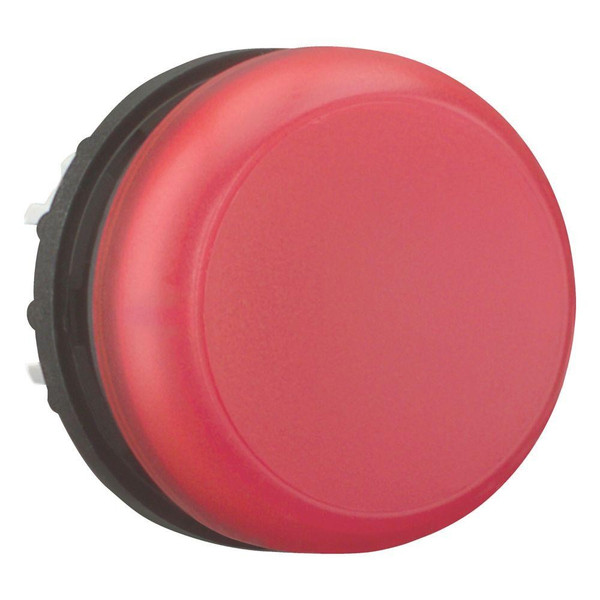 EAO216772
