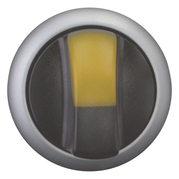EAO216818