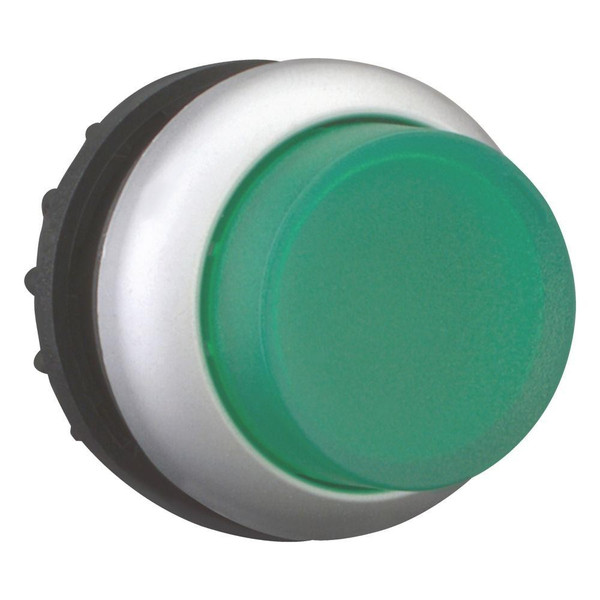 EAO216969