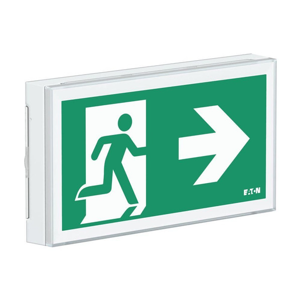 EAOFT2EW4ICGL18IP