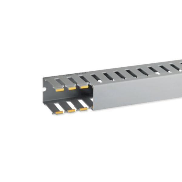 IBOB02566