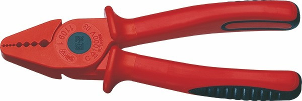 INR11091