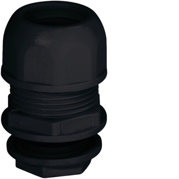 INSB11004
