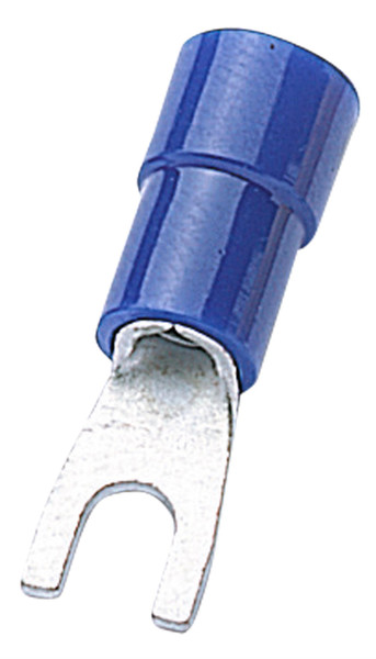 ITP11202242