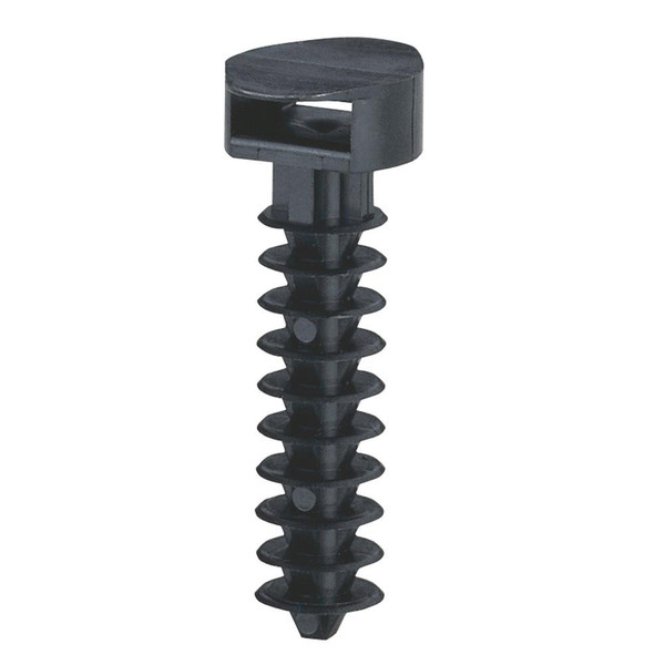 LEG031955