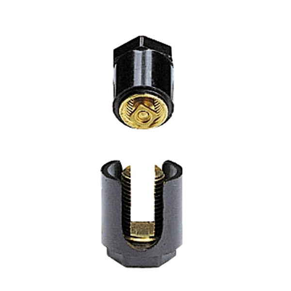 LEG034034