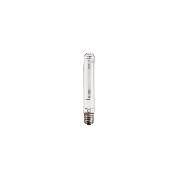 PHLSONTPLUS100