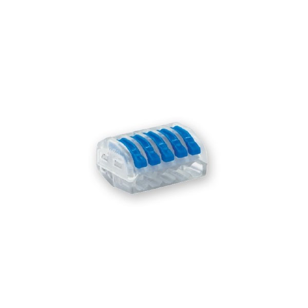 ARNBIF255