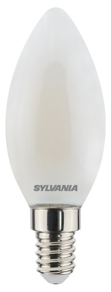 SYL0029484