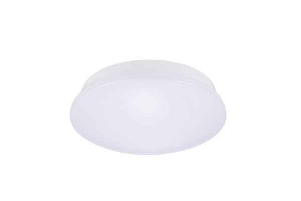 SYL0043405