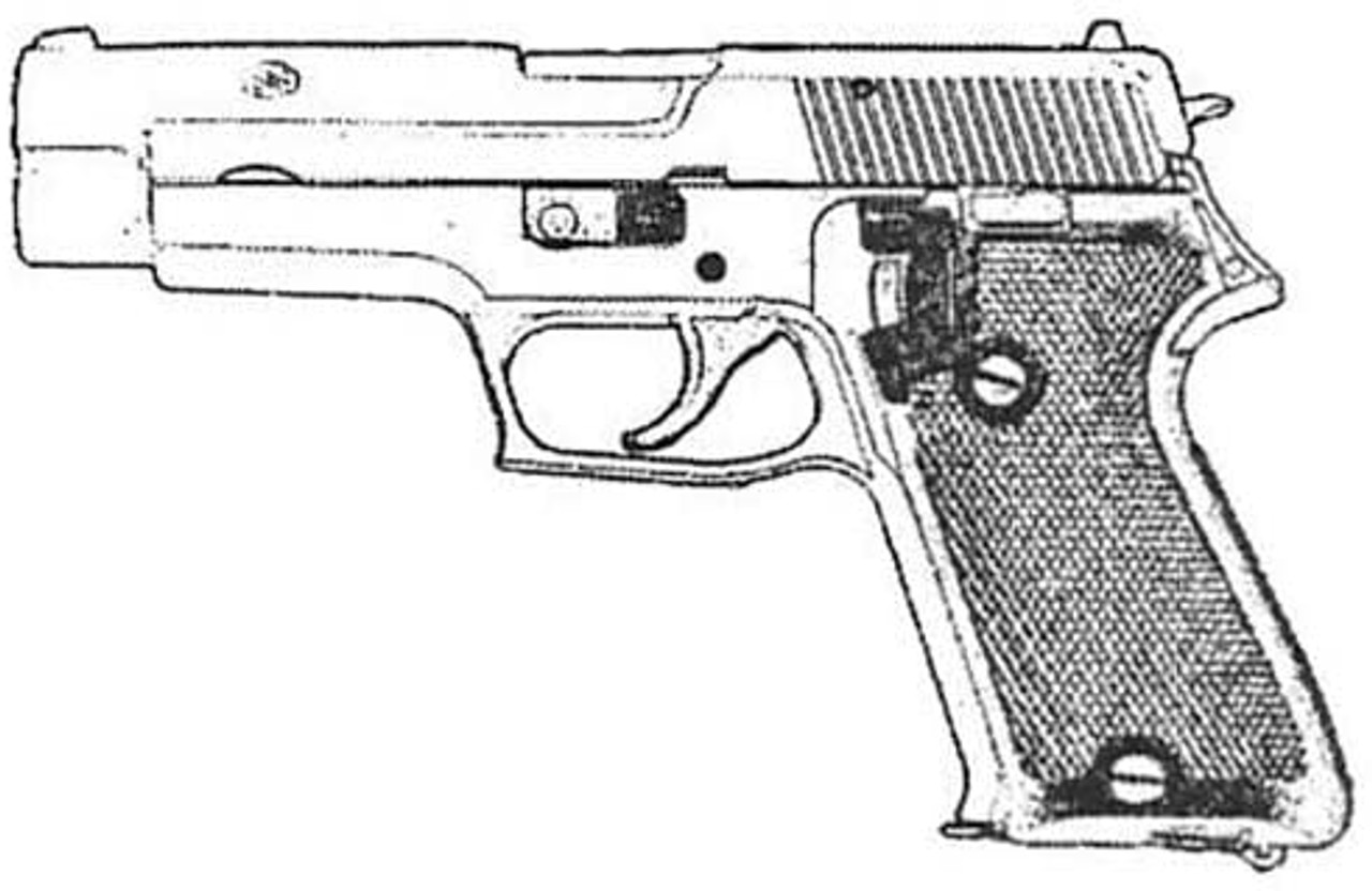 Tanaka Sig P220 Early Evolution 2 Frame Heavy Weight Model Gun