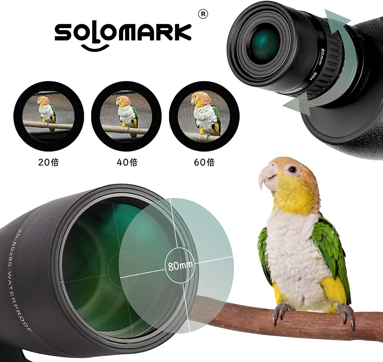 SOLOMARK 20-60x80 Fieldscope Spotting Scope Monocular Telescope