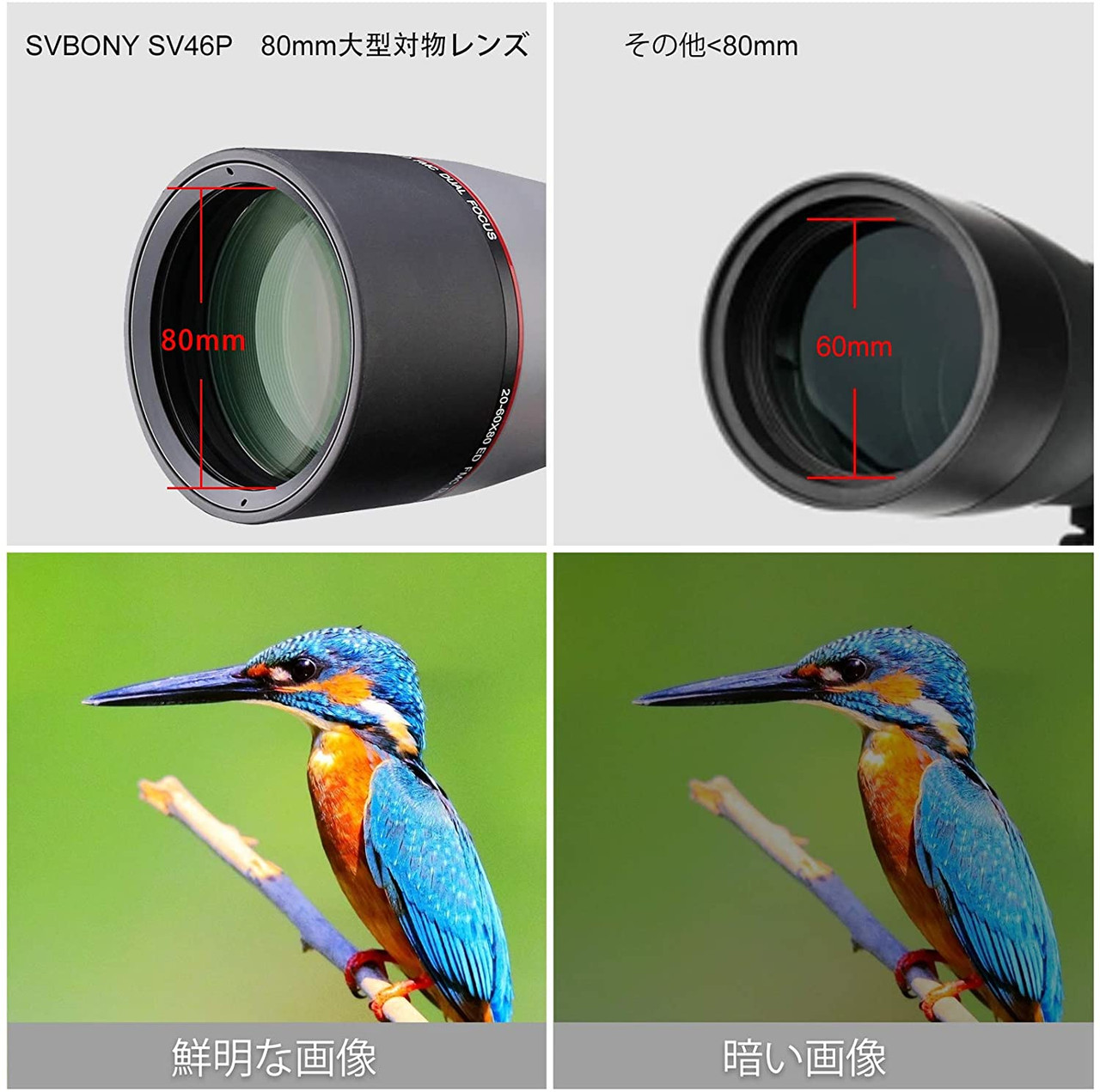 SVBONY SV46P Fieldscope Telescope High Magnification 20-60x80mm Dual Focus ED Glass FMC Glasses Compatible