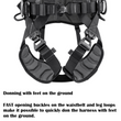 Petzl VOLT® International Version Harness - 2