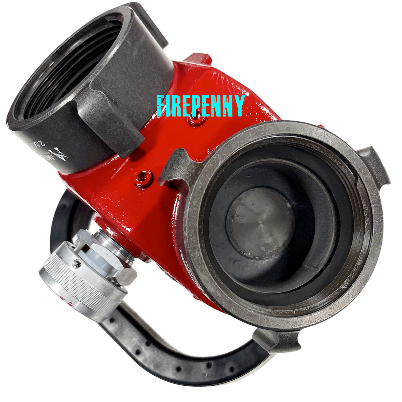Akron Brass 1262 Clapper Valve Siamese