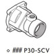 Akron 8920 2" Swing-Out Valve (Polymer Ball)