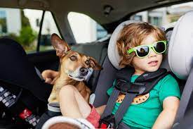 View Car Seats Deals