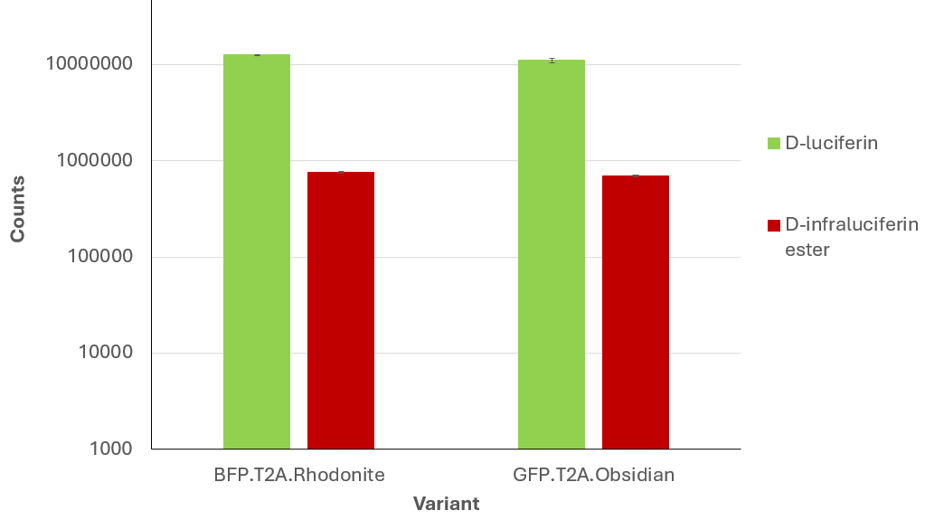 Light yields of reporters with D-luciferin and D-infraluciferin ester