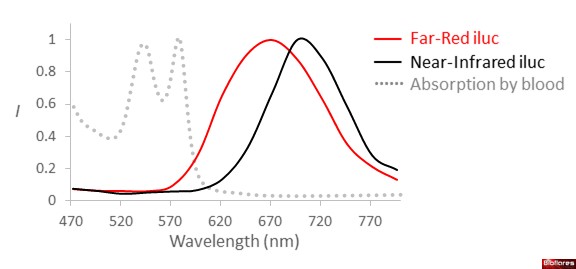 dual-spectrum-intro-image-130722.jpg