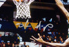 Shawn Kemp Autographed 16x20 Photo Seattle Sonics MCS Holo Stock #125212