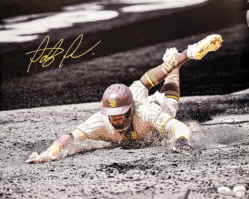 Fernando Tatis Jr. Autographed 16x20 Photo San Diego Padres Spotlight JSA Stock #201956