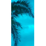 Turquoise Blue Transparent (AGC-110-6) - 6" x 12" Sheet