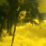 Yellow Transparent (AGC-202) - 12" x 12" Sheet