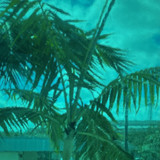 Teal Green Transparent (OGT-523-2SF) - 12" x 12" Sheet