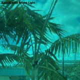 Teal Green Transparent (OGT-523-2SF) - 12" x 12" Sheet