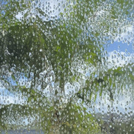 Clear Raindrop Textured (IM14)  - 12" x 12" Sheet