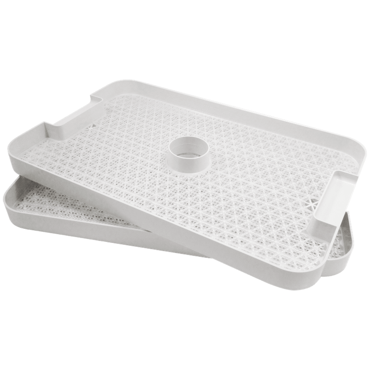 Trays (Set of 2)