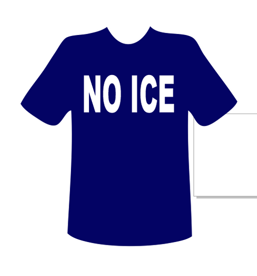 NO ICE