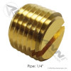Slotted Plug 1/4NPT