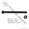 Center Bolt 1/2in X 6in