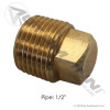 Square Head Plug 1/2NPT