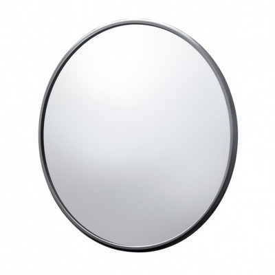5" Smooth Mirror Head, Black (Bulk)