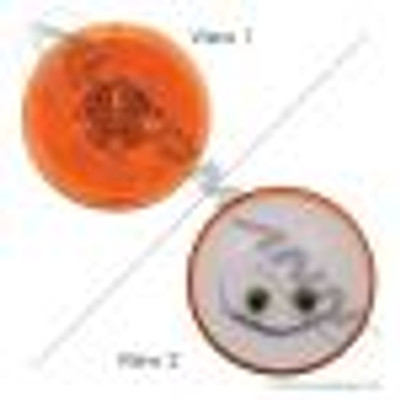 Marker Light 2in Amber