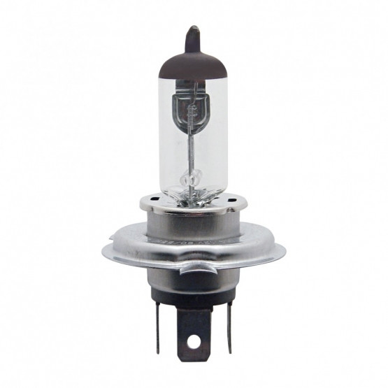H4 Clear Halogen Bulb