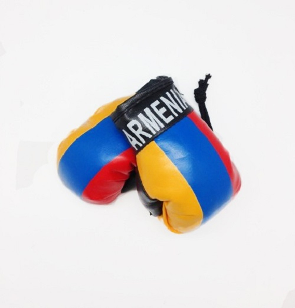 albanian boxing gloves for car