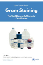 Gram Staining: The Gold Standard of Bacterial Classification 
