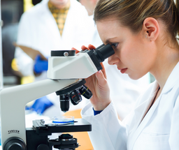 Hematology's Visual Symphony: The Role of Staining