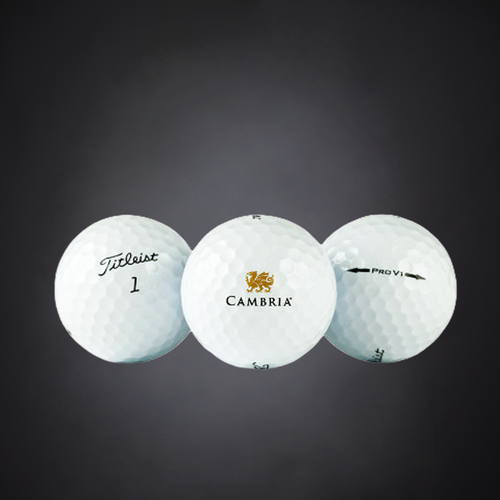 Titleist Pro V1 Golf Balls, 1 Dozen