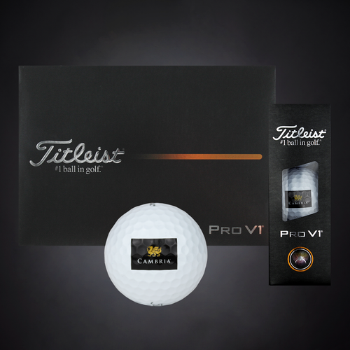 Titleist Pro V1