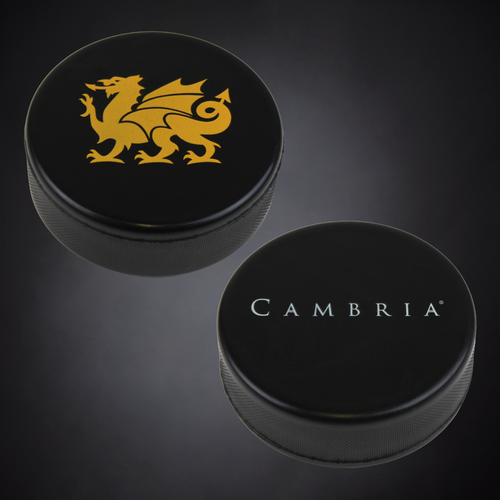 Foam Hockey Puck
