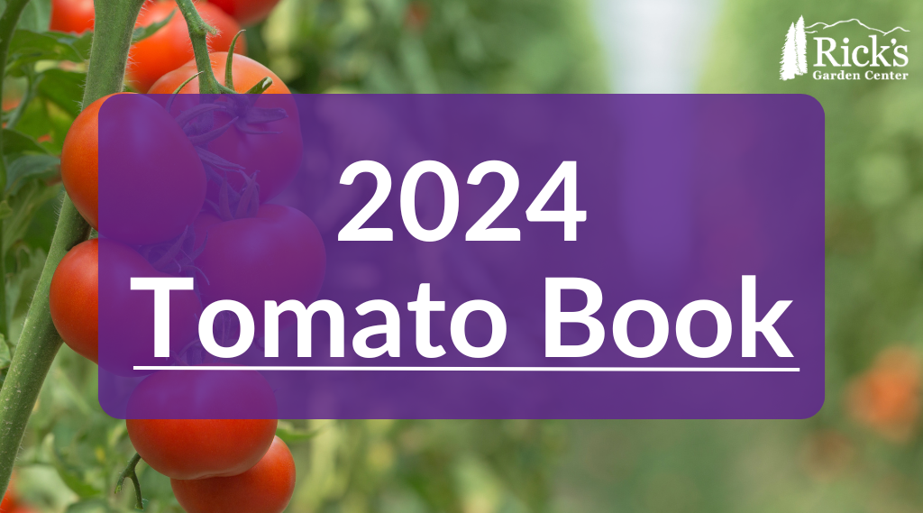 2024 Tomato Book
